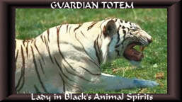 libtigerpttm7.jpg